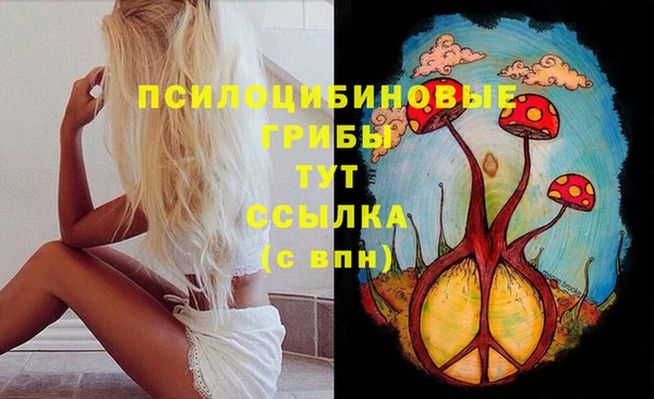 мяу мяу мука Верхний Тагил